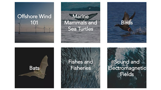 Browse the Offshore Wind Webinar Library